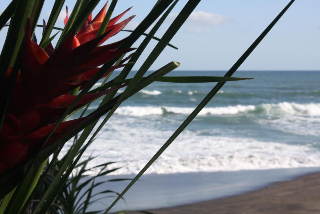 Sejuk Beach Villas Canggu Quarto foto